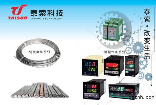 浙江泰索科技 智能感知驅動未來，物聯網科技點亮行業革新